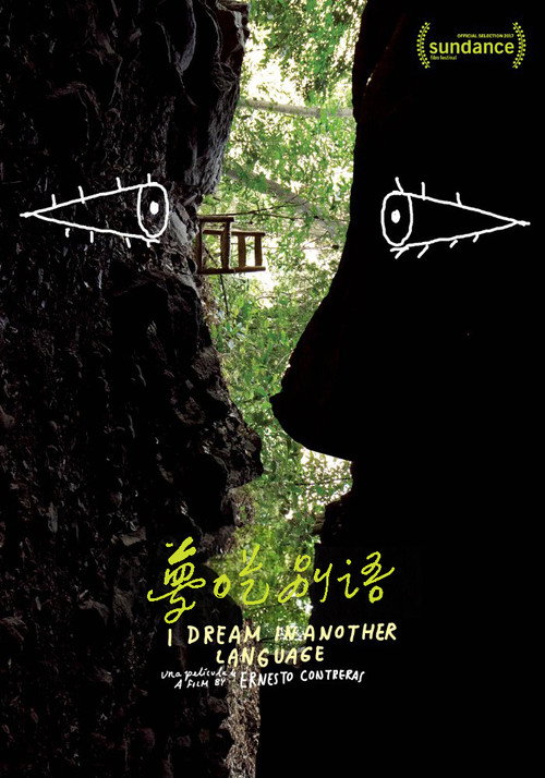 梦呓雨林 封面