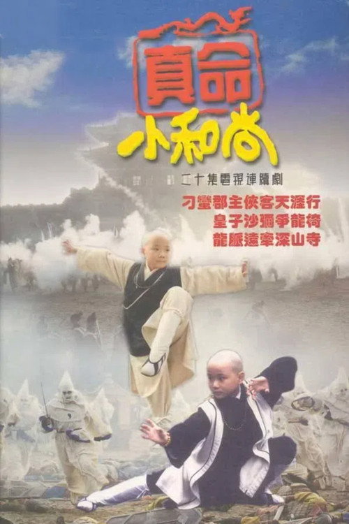 真命小和尚 封面