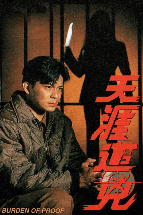 天涯追凶 封面