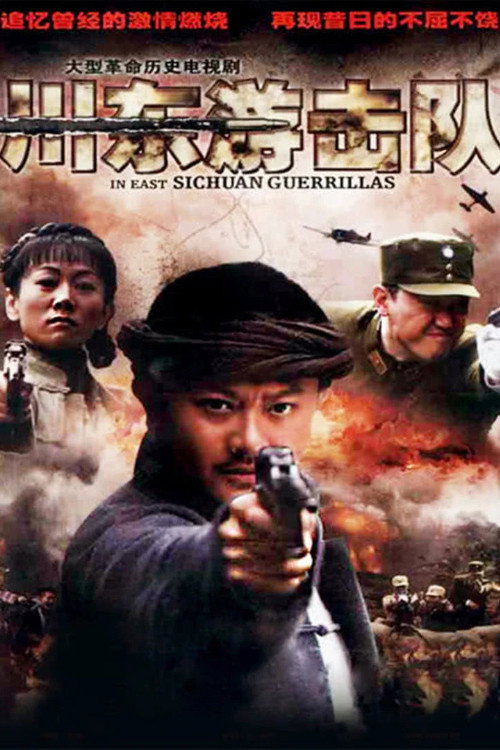 川东游击队 封面
