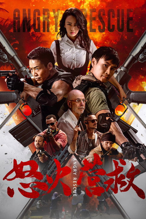 怒火营救 封面