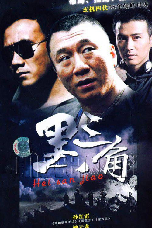 黑三角 封面