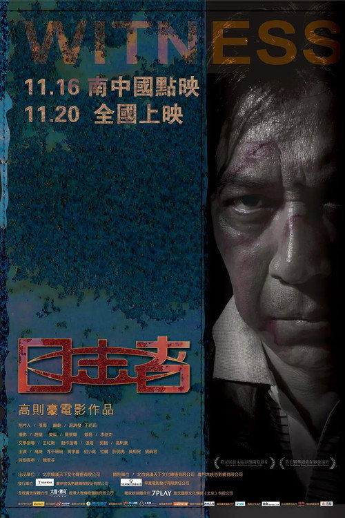 目击者 封面