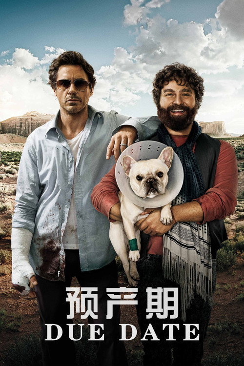 预产期 封面