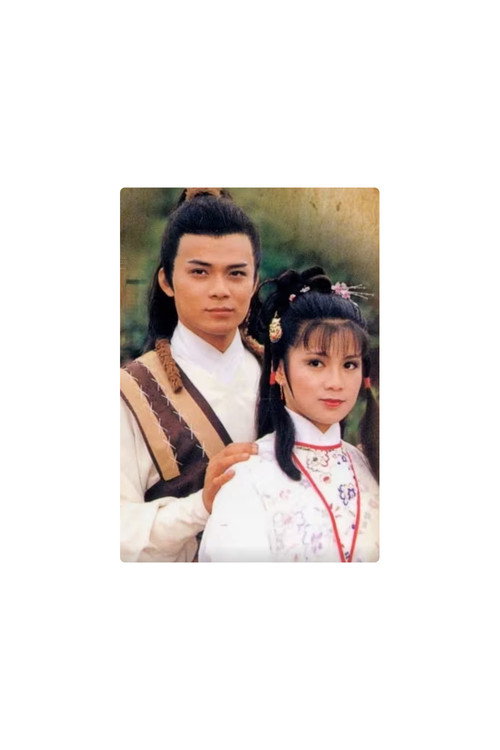 射雕英雄传之华山论剑(第三部) 封面