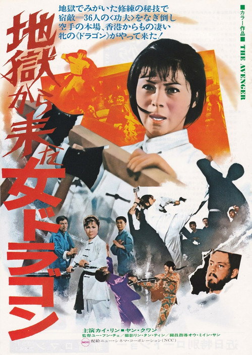 仇 封面