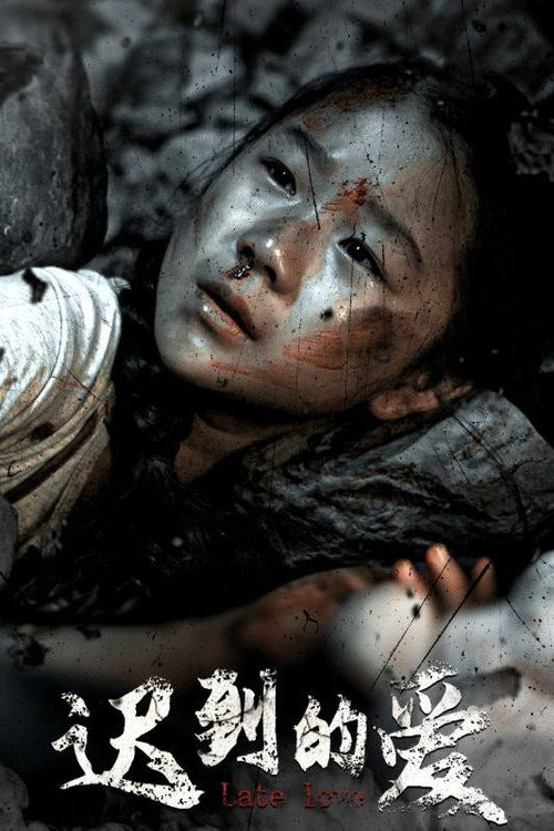 迟到的爱 封面