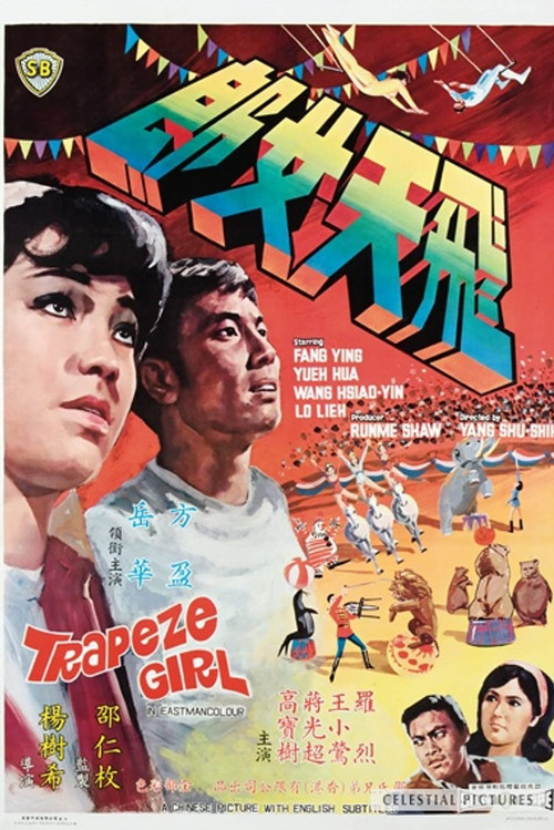 飞天女郎 封面