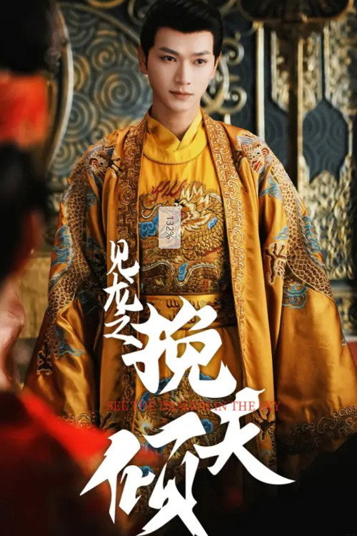 见龙之挽天倾 封面