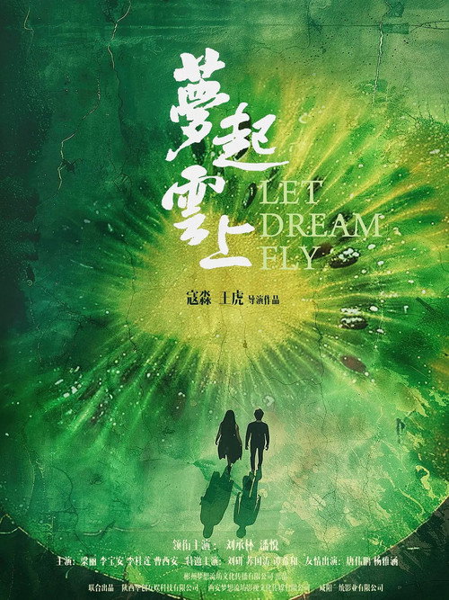梦起云上 封面