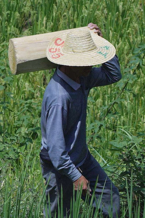 大数据中心 封面