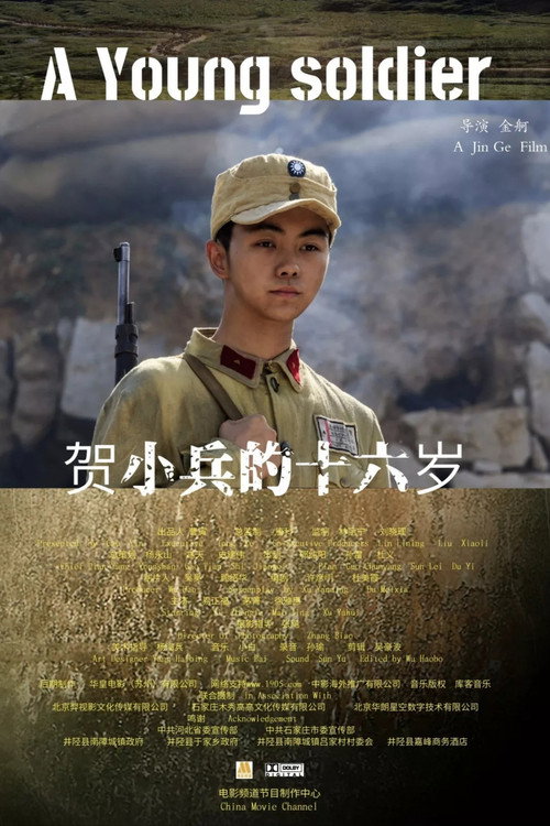 贺小兵的十六岁 封面