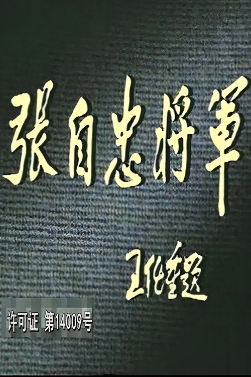 张自忠将军 封面