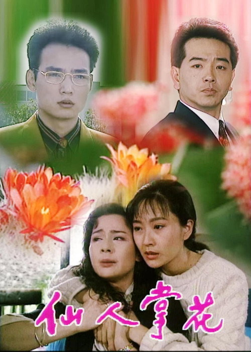 仙人掌花 封面