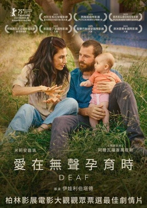 无声挚爱 封面