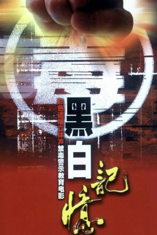 黑白记忆 封面