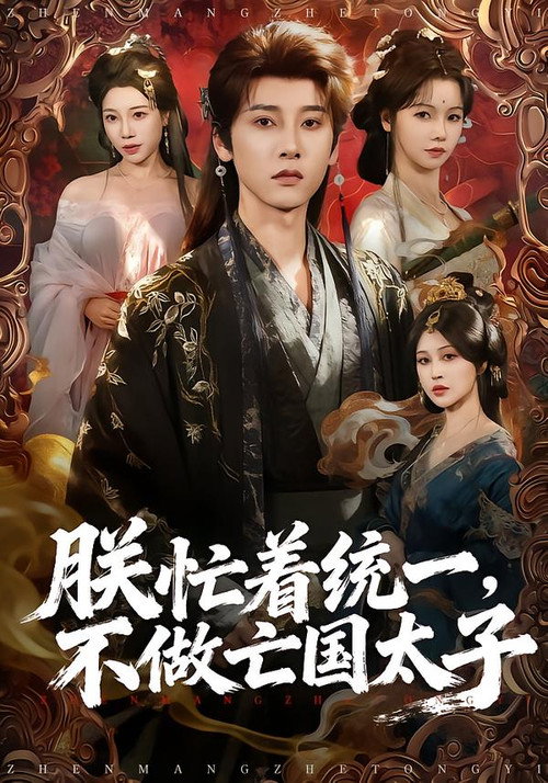 朕忙着统一，不做亡国太子 封面