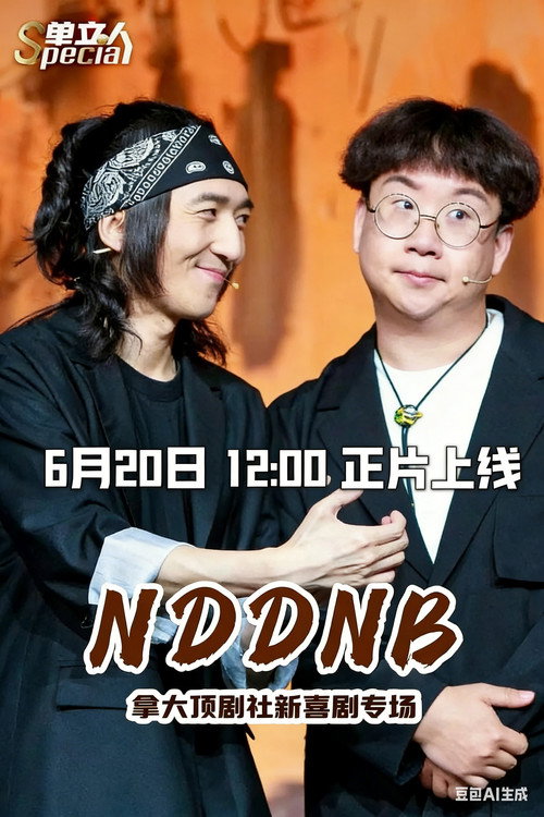 NDDNB 封面