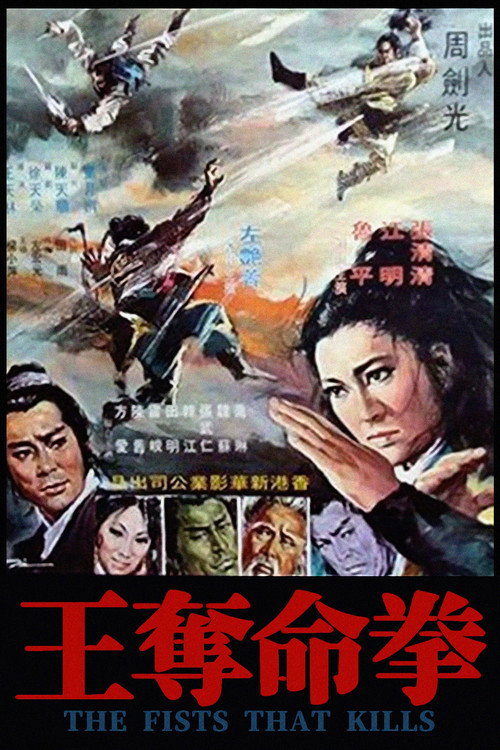 奪命拳王 封面