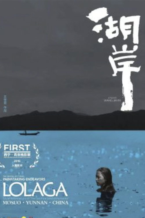 湖岸 封面