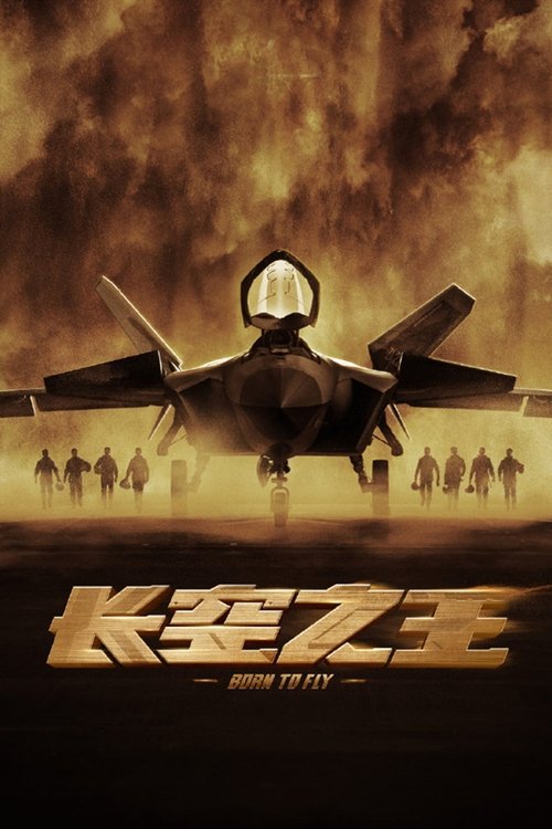 长空之王 封面