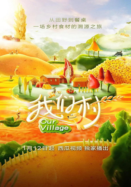 我们村 封面