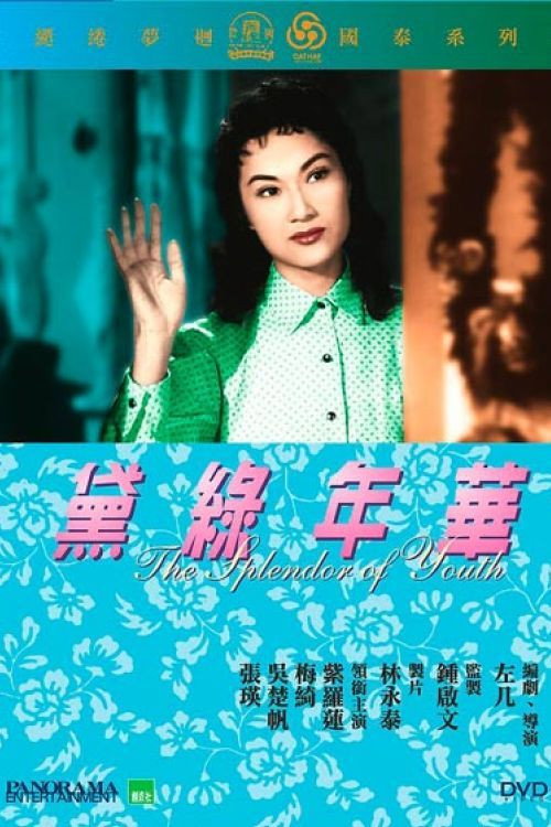 黛绿年华 封面