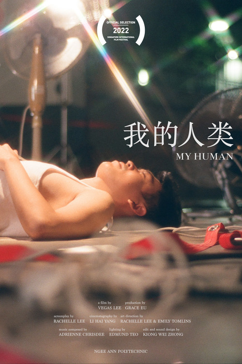 我的人类 封面