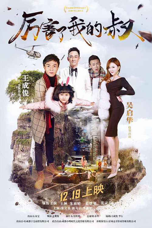 厉害了我的叔 封面