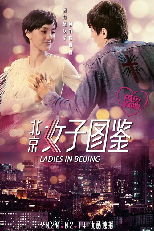 北京女子图鉴之再见爱情 封面