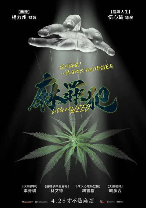 麻罪犯 封面