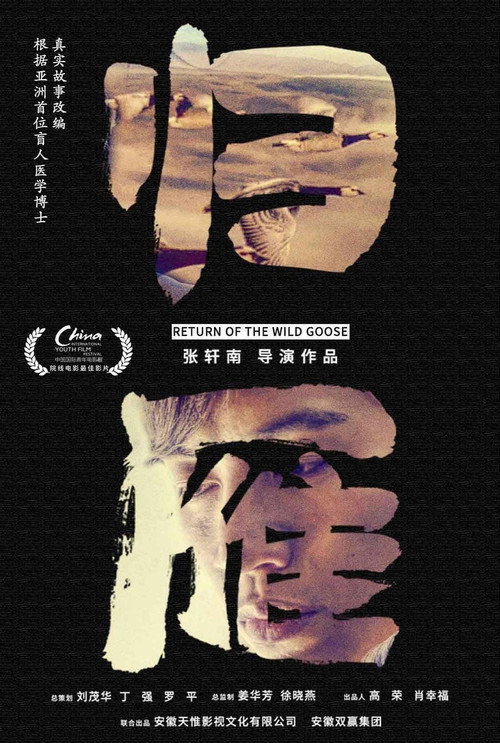 归雁 封面