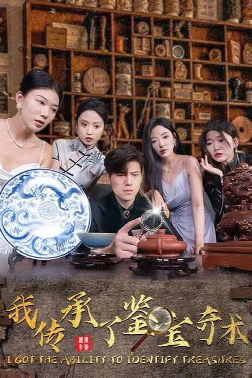 我传承了鉴宝奇术 封面