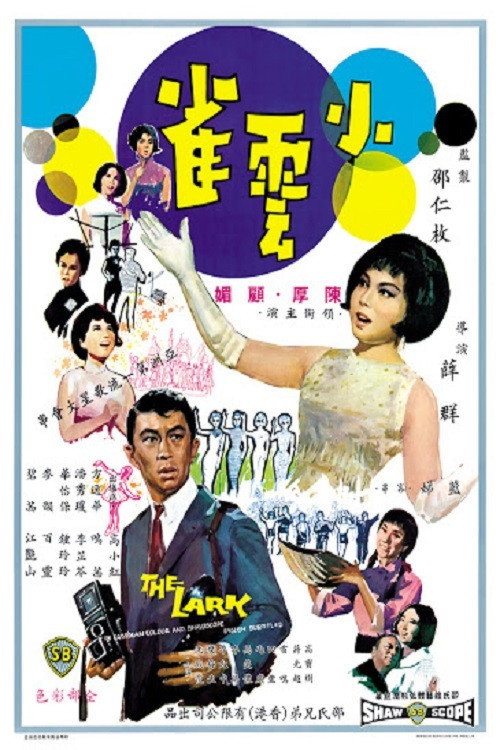 小云雀 封面