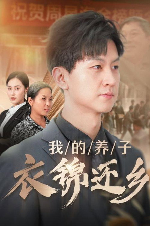我的养子衣锦还乡 封面