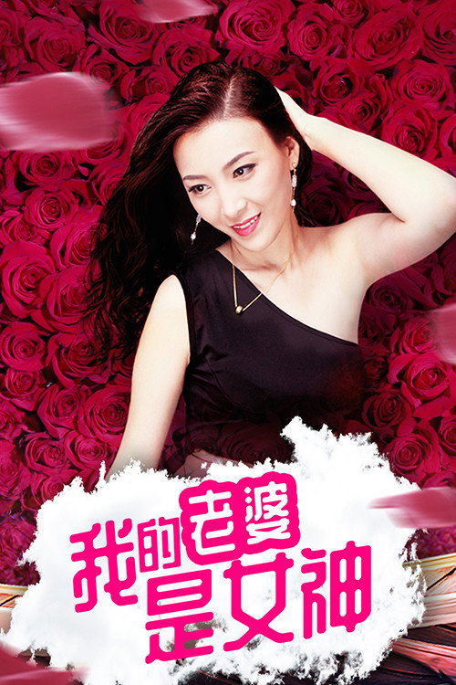 我的老婆是女神 封面