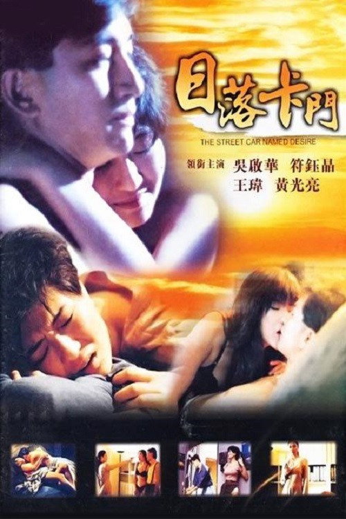 日落卡门 封面