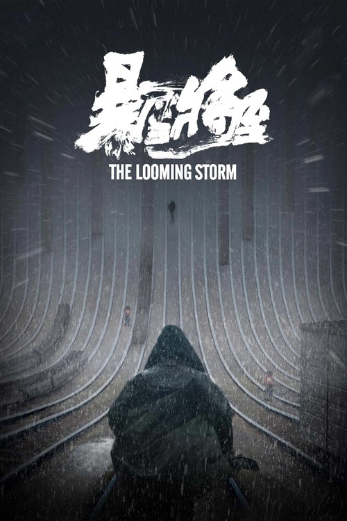 暴雪将至 封面
