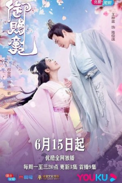 御赐蛮妃 封面