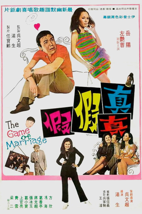 真真假假 封面