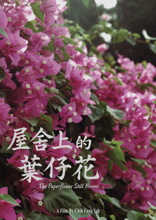 屋舍上的葉仔花 封面