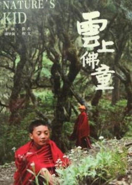云上佛童 封面