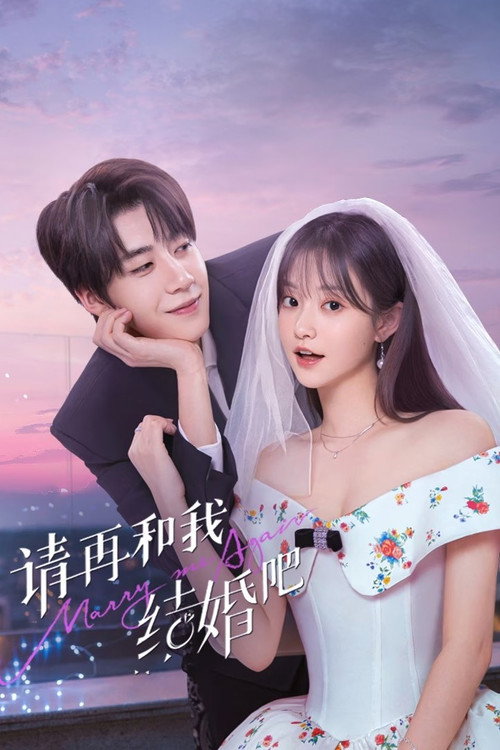 请再和我结婚吧 封面