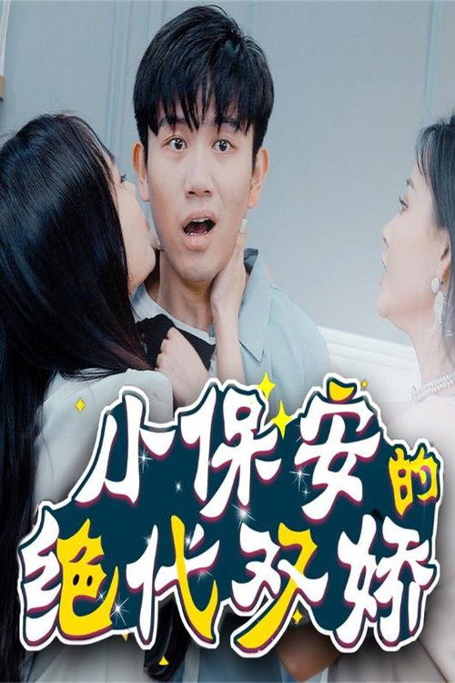 小保安的绝代双娇 封面