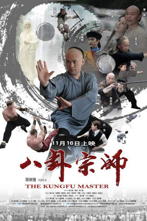 八卦宗师 封面