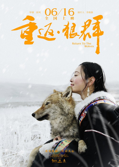 重返·狼群 封面