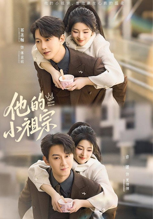 他的小祖宗 封面
