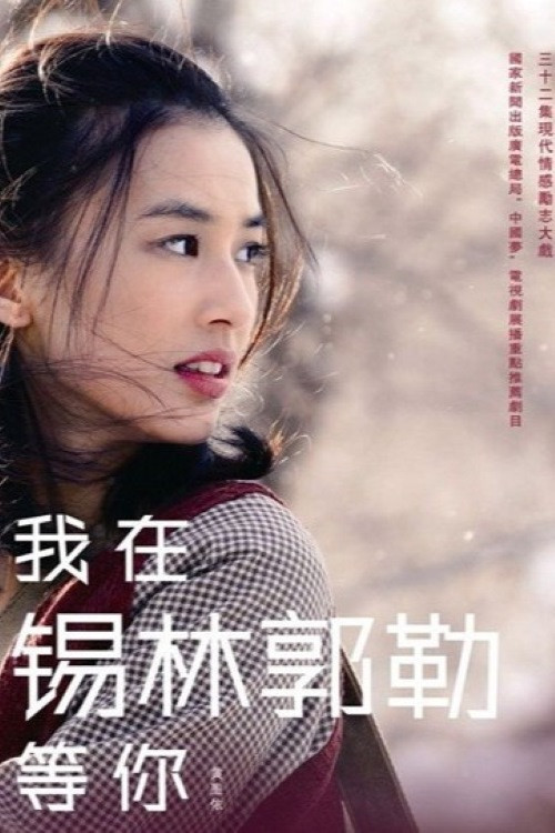 我在锡林郭勒等你 封面