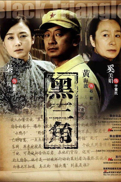 黑三角 封面