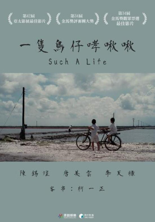 一只鸟仔哮啾啾 封面
